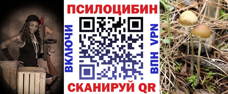 как найти Анжеро-Судженск kraken зеркало Псилоцибиновые грибы Cubensis